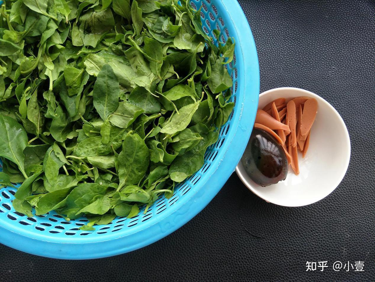 枸杞叶,怎么做好吃?——壹健康 - 知乎