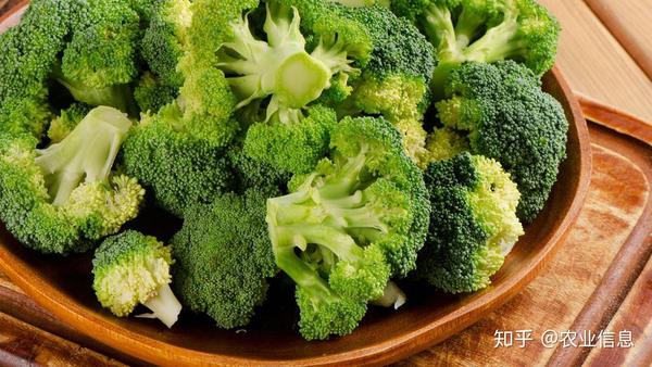 抗癌明星 青花菜 知乎