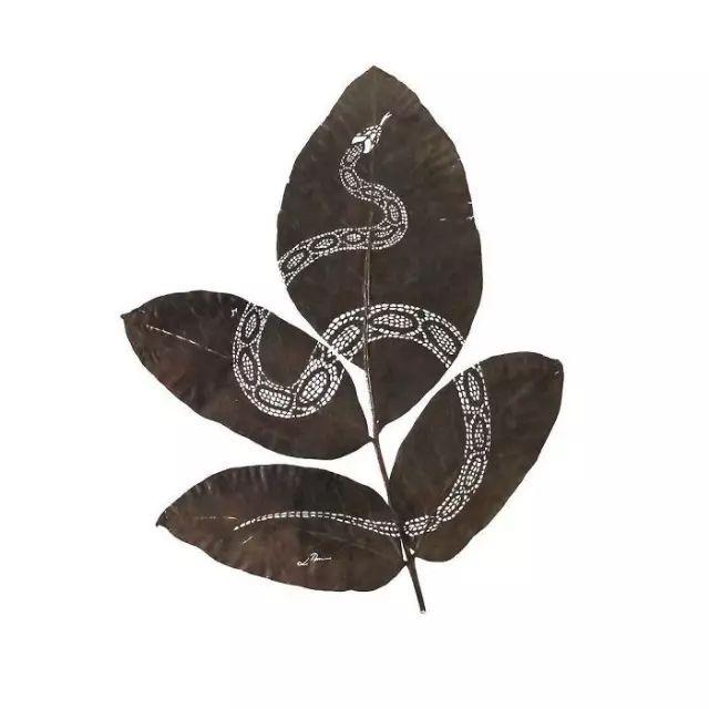 盘踞在树叶上的一条蛇,我几乎可以看到蜿蜒的线,它不在那里,它在树叶