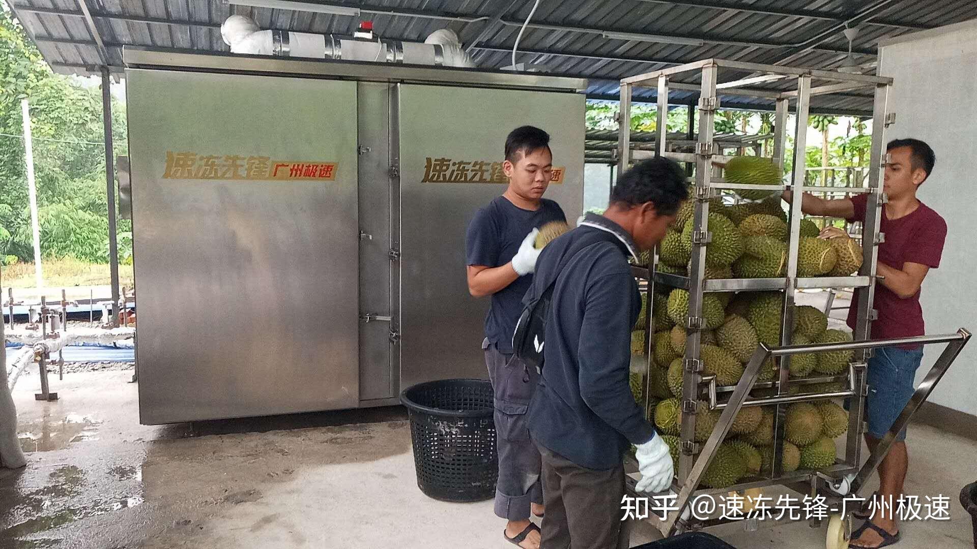 榴莲液氮速冻机,新鲜送到千万家!