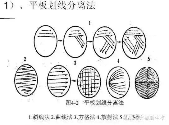 平板划线法原理图片