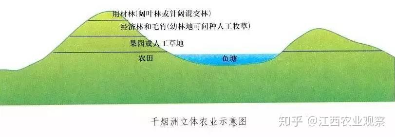 从荒漠到绿洲,千烟洲的立体农业奇迹