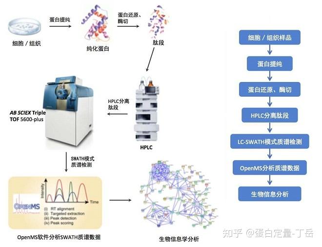 dia蛋白质组学:全面解析蛋白质组学研究内容 - 知乎