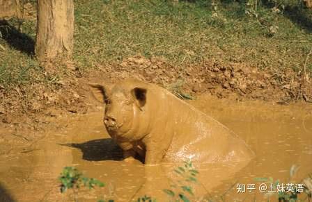 如果你的英语还在90以下 要提分先弄清这9个问题 知乎