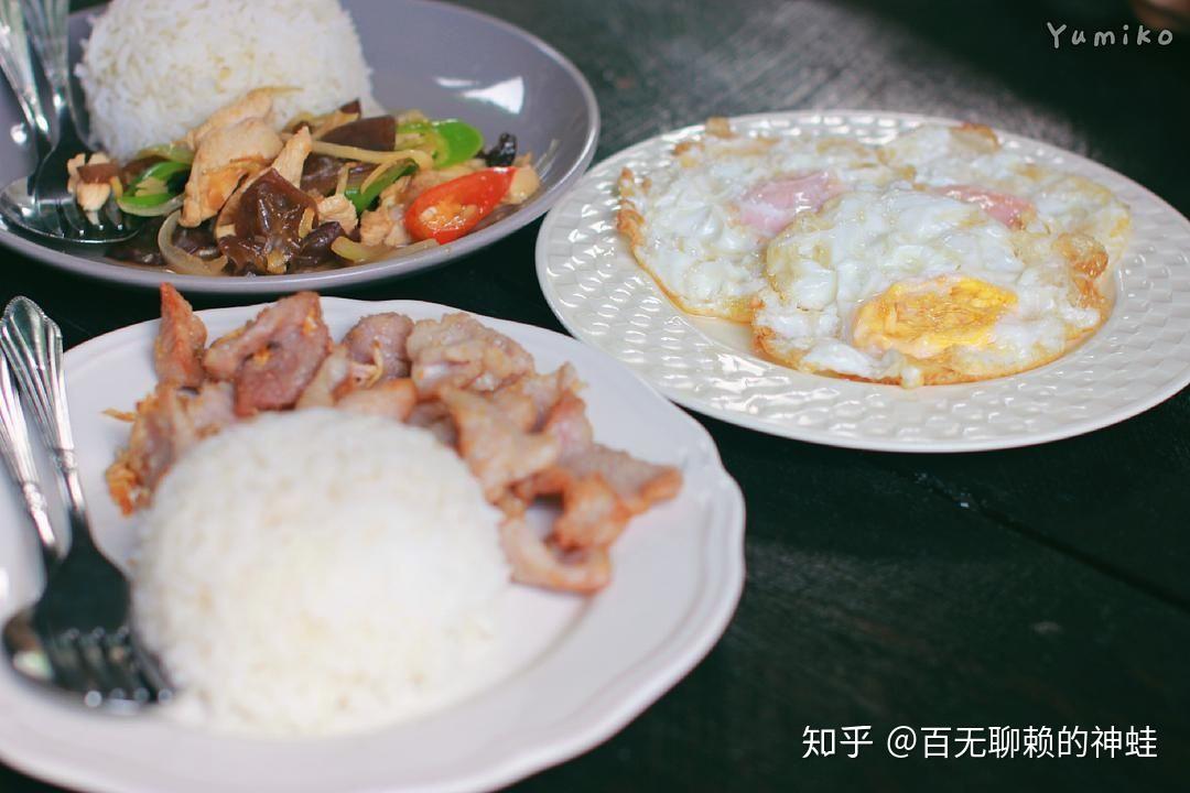 康蓬理财(康蓬商城是合法的吗)