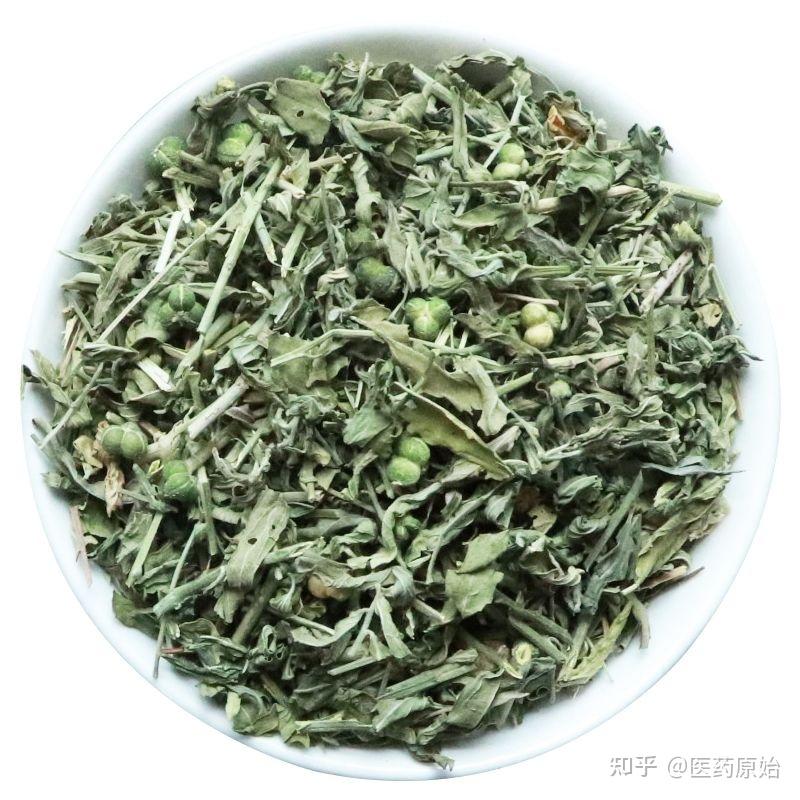 带你识别透骨草 - 知乎