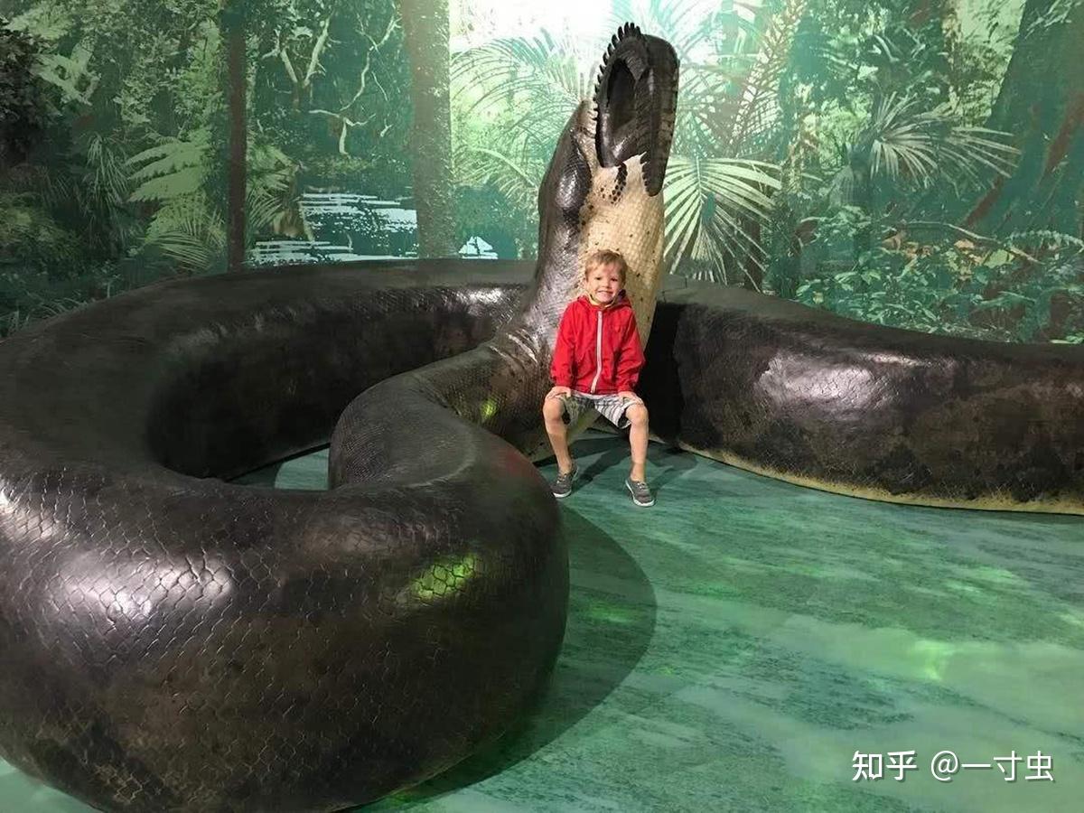 现实中的“狂蟒之灾”，亚马逊丛林之王，世界上最大的蛇—森蚺_体型_猎物_电影