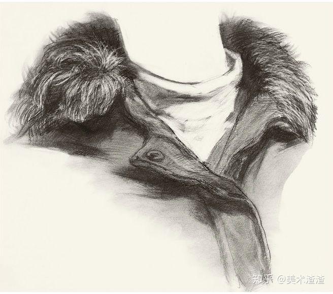 素描解析衣领的画法