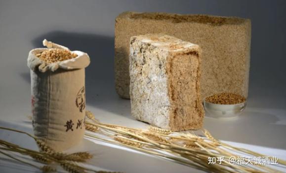 纯种霉菌接种以麸皮为原料的培养物,可用于代替部分大曲或小曲的麸曲