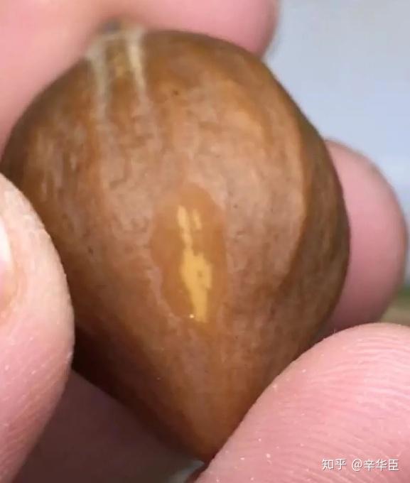 刀尖上的艺术夹生橄榄核