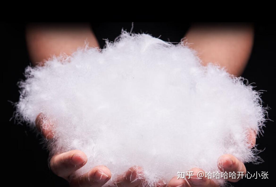 鹅绒和鸭绒区别大吗?鹅绒和鸭绒羽绒服哪个更好? - 知乎