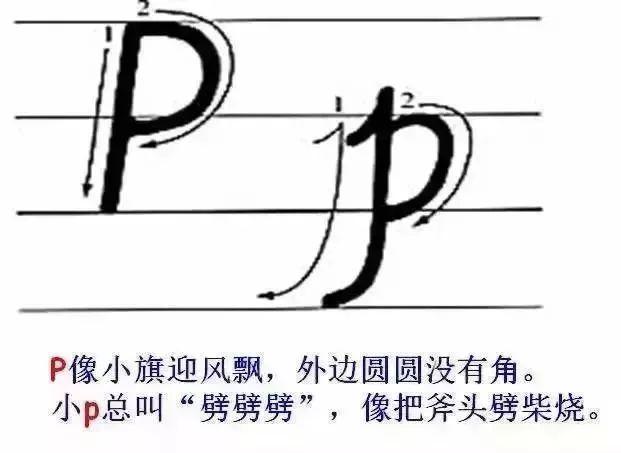 字母要按一定的筆劃順序書寫,其書寫筆順如下.