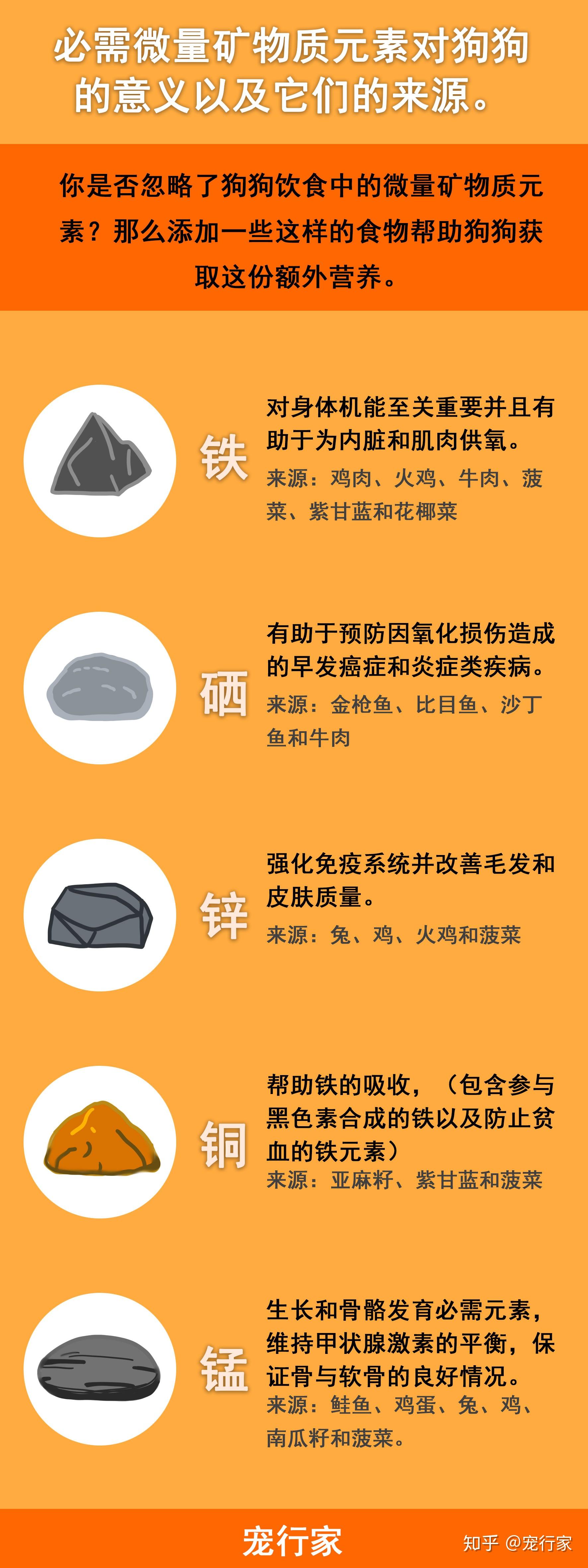 微量矿物质的最佳来源