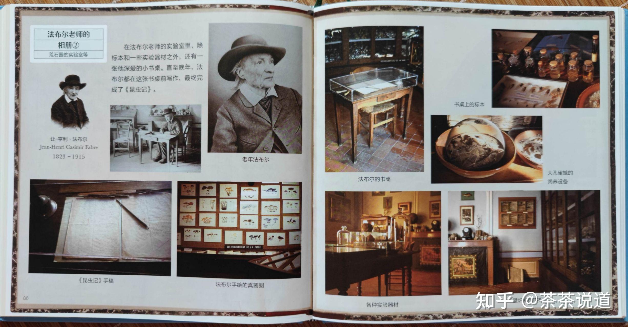 2.《法布尔老师的昆虫教室》:手把手教你研究昆虫的科学方法