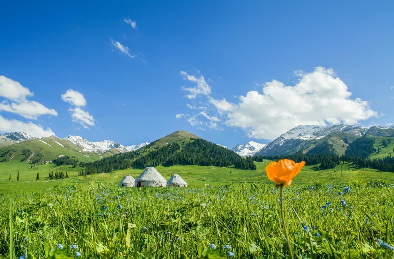 徒步天山喀拉峻草原视觉暴击美景超养眼去一次就忘不了