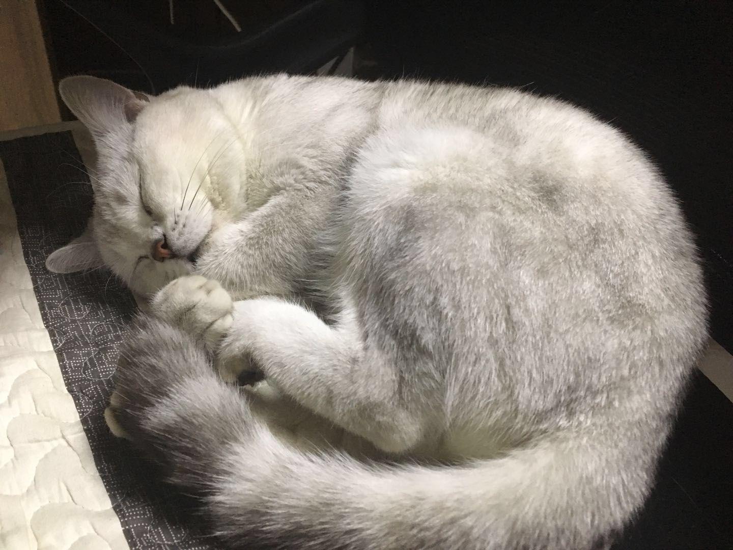 在墨墨科技(墨墨背单词)工作是一种怎样的体验