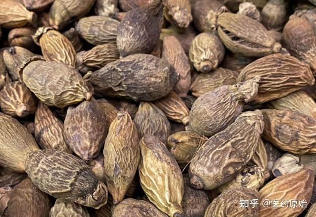2,枣槟榔 为秋季采收槟榔未成熟的幼嫩干燥果实.