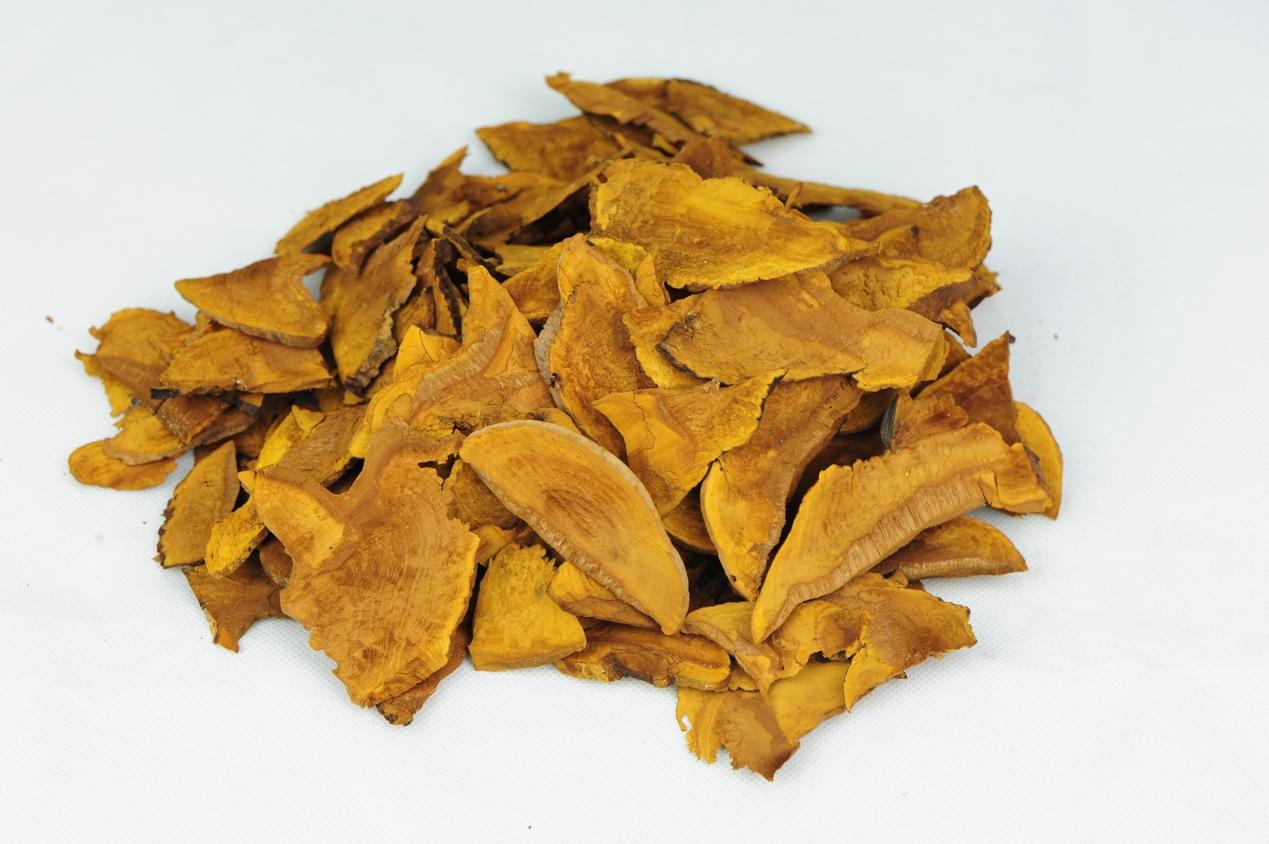 桑黄的功效对得起价格吗