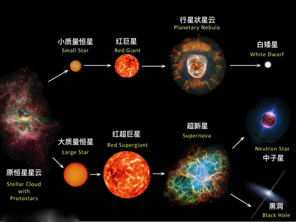 所有恒星都逃不出三个宿命:白矮星、中子星、黑洞 - 知乎