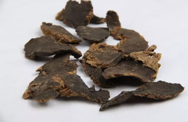 每天最少学一味中药-黄芩