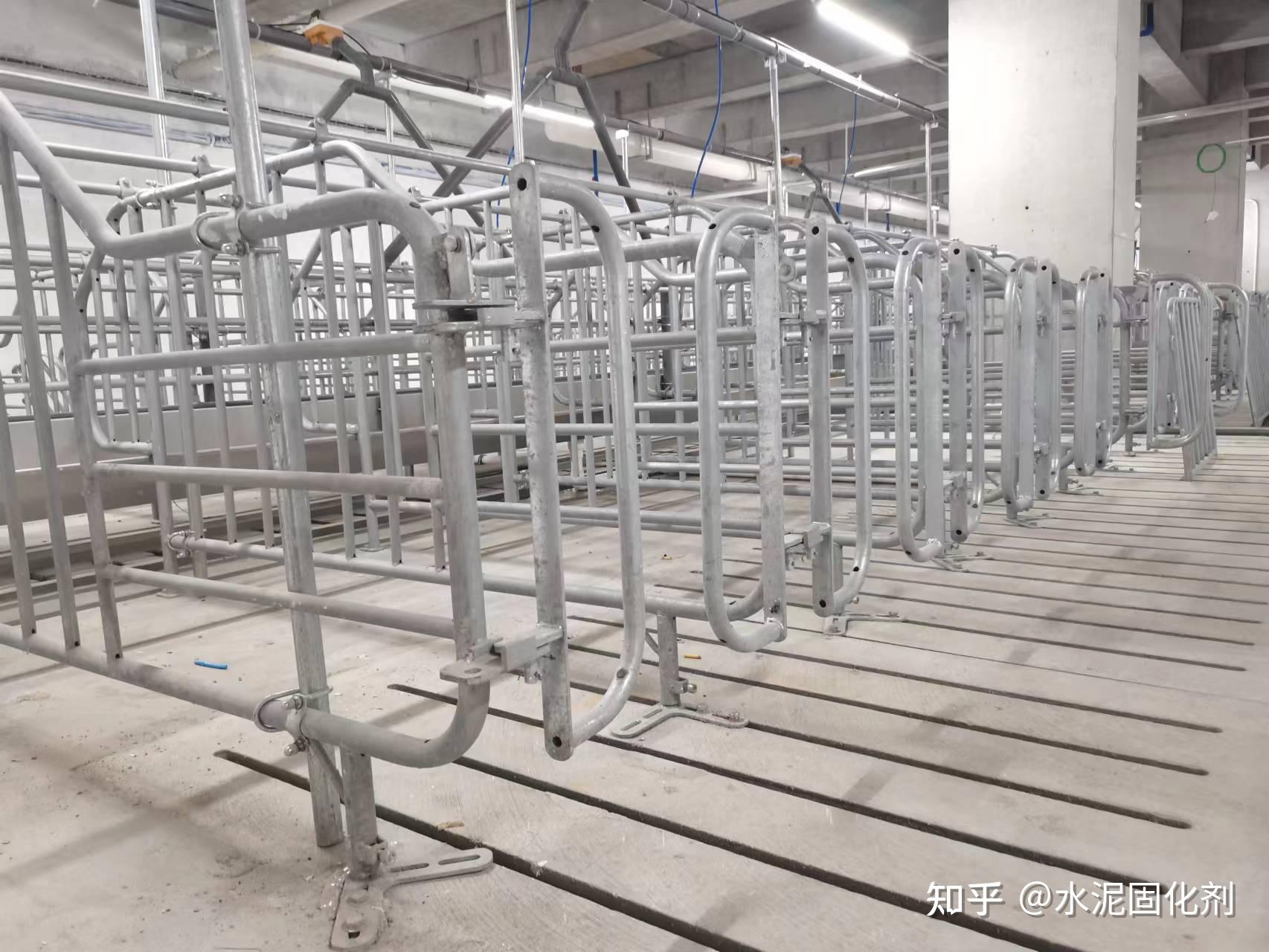 养猪场猪舍建设中,什么叫做消杀到位? - 知乎