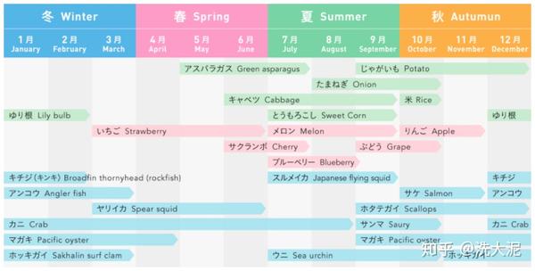 北海道夏日旅行游记 攻略 0 北海道旅游概况 行程简介 花费 知乎