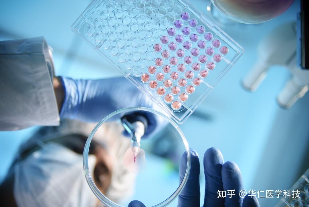 1300万一针的疗法获批,基因治疗药物引发的变革