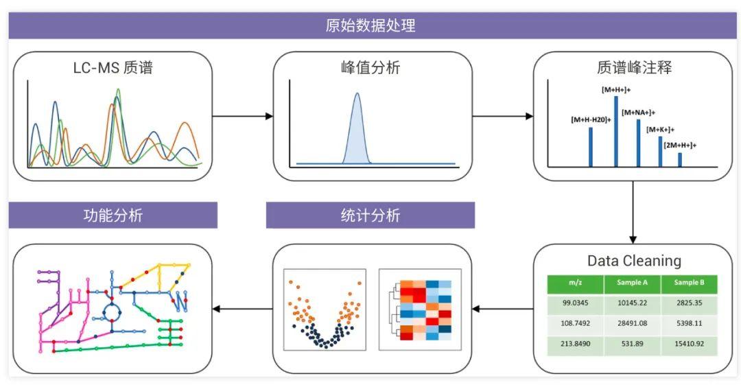 代谢组学基础实验篇 | MedChemExpress - 知乎