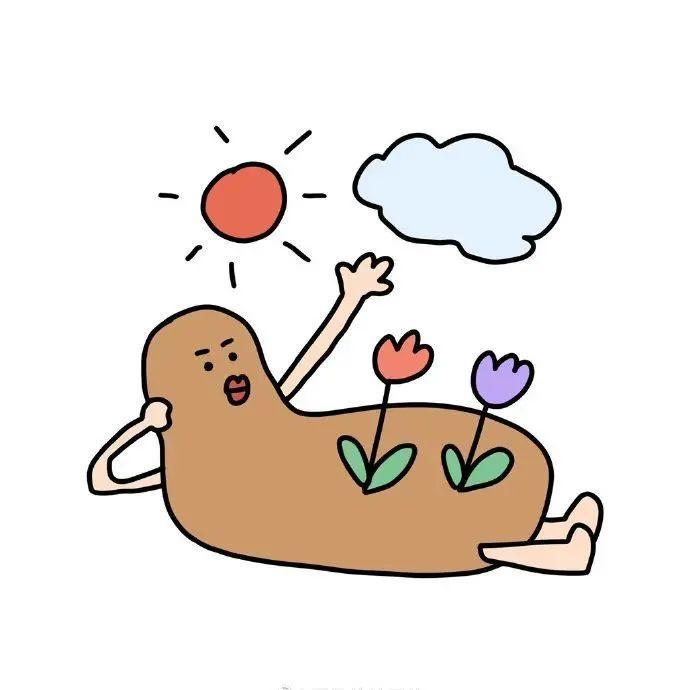 头像 | 不是很聪明的微信头像