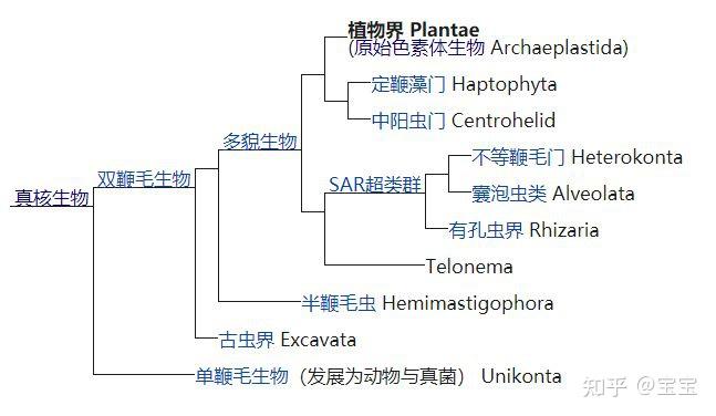 生物进化树整理 - 知乎