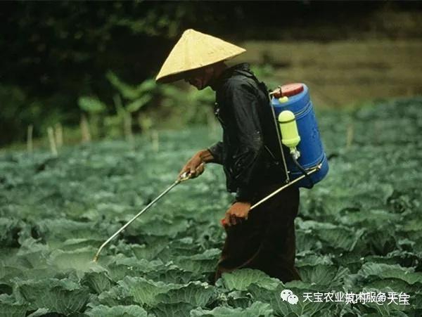 用药淋根灌根你做对了吗？ - 知乎