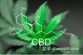 你对大麻二酚cbd究竟了解多少 知乎