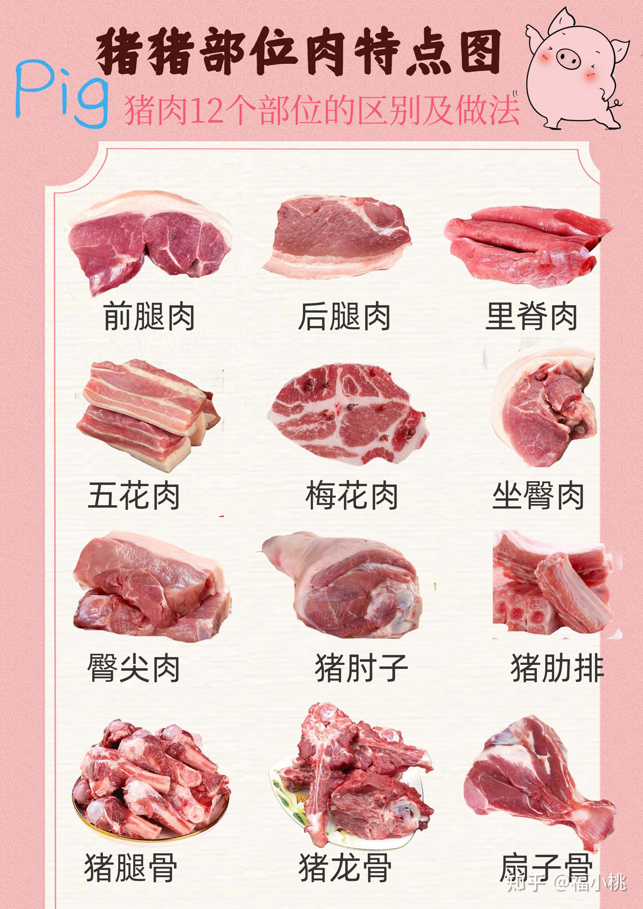 教你如何挑选最好吃的猪肉，不同部位的猪肉最适合制作的美味有哪些 - 哔哩哔哩
