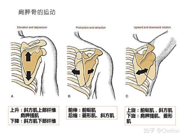 v2-7aa1796fe21fd00576a846f60fcf06e7_r.jpg