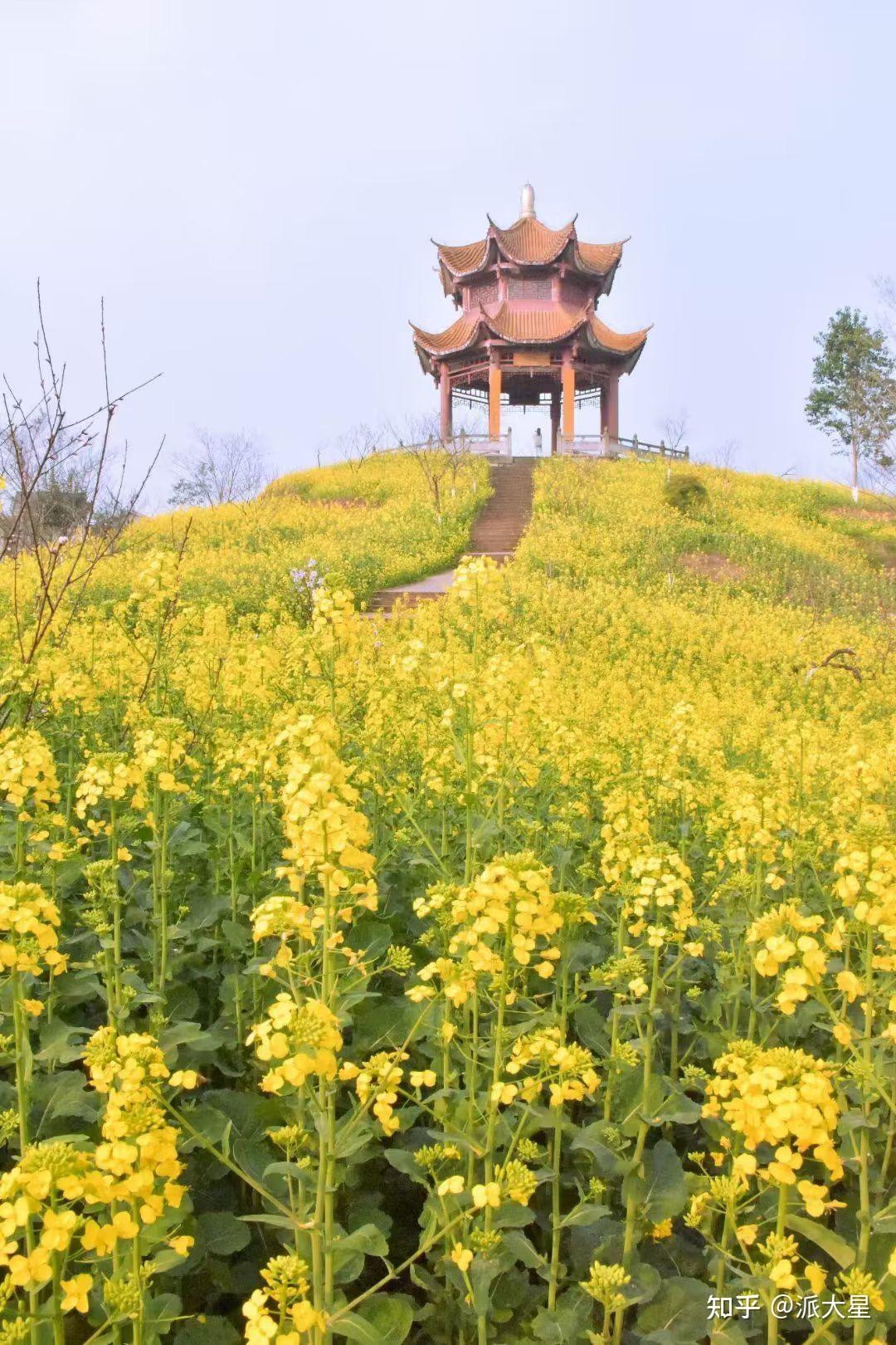 重庆师范大学校园风景图片