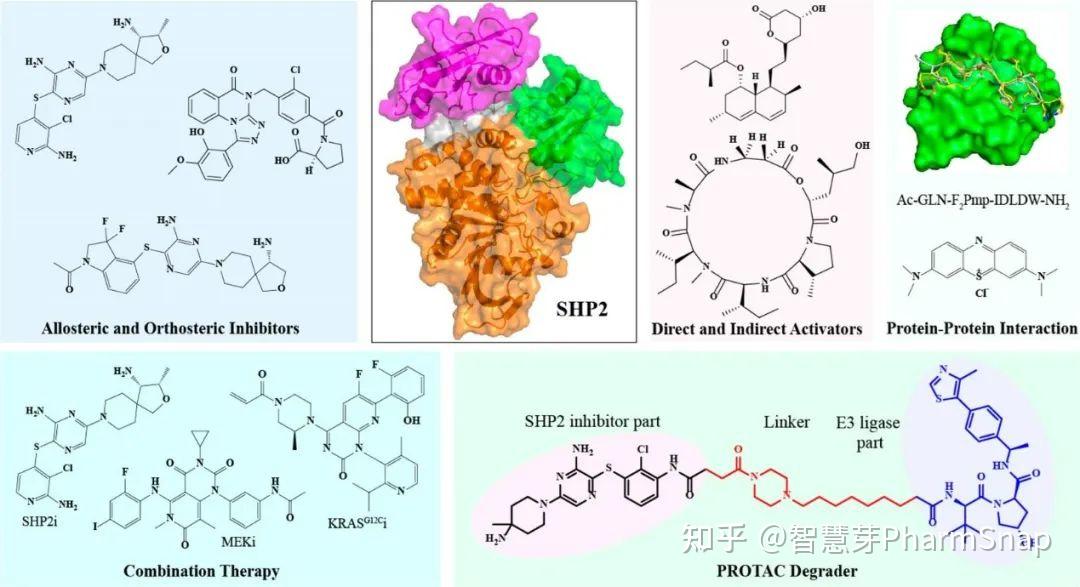 智慧芽pharmsnap | 靶向蛋白酪氨酸磷酸酶shp2用於癌症治療的策略