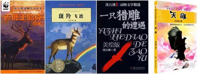 在沈石溪的作品中,斑羚為了拯救族群選擇長幼分開,集體飛渡(《斑羚