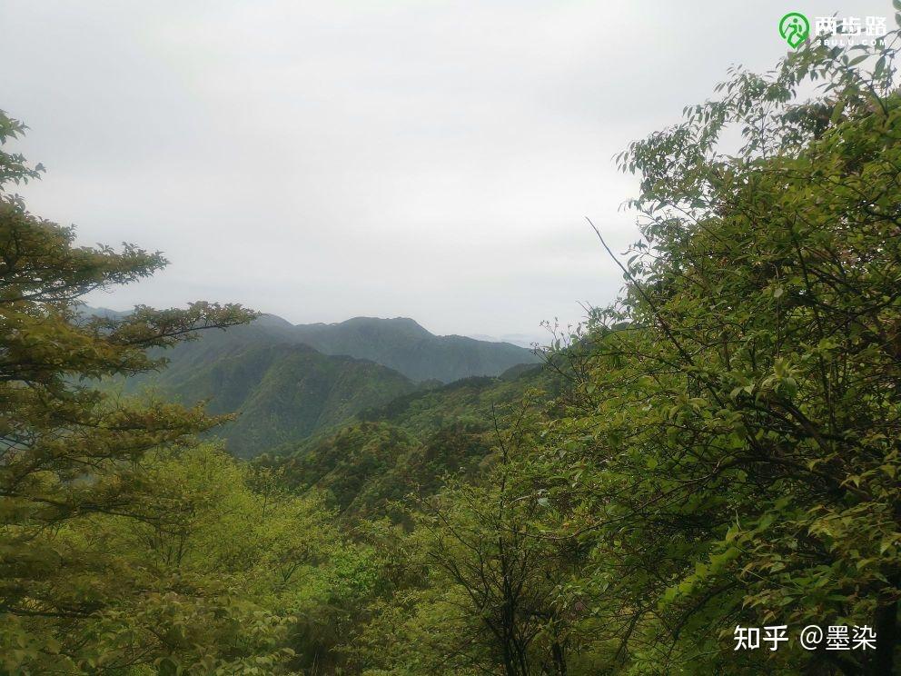 04km 當前海拔1540m羊獅幕山頂,靠左直行(發雲界至此大約4個小時)距離