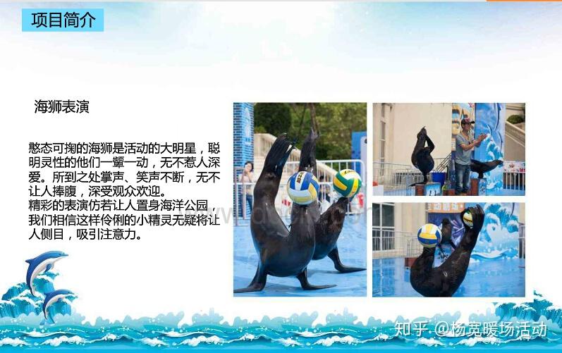 海洋展房地产活动承办海洋生物展方案介绍