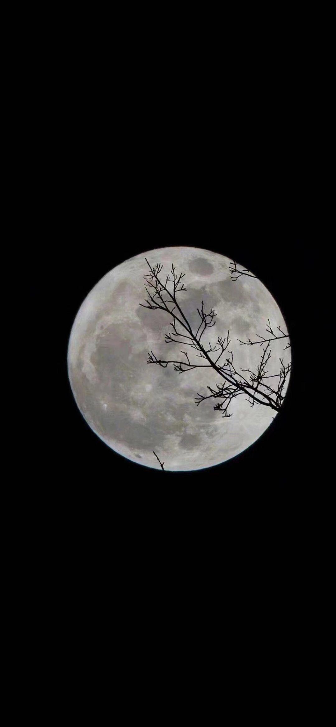 中秋节前后拍摄的几片月亮-中关村在线摄影论坛