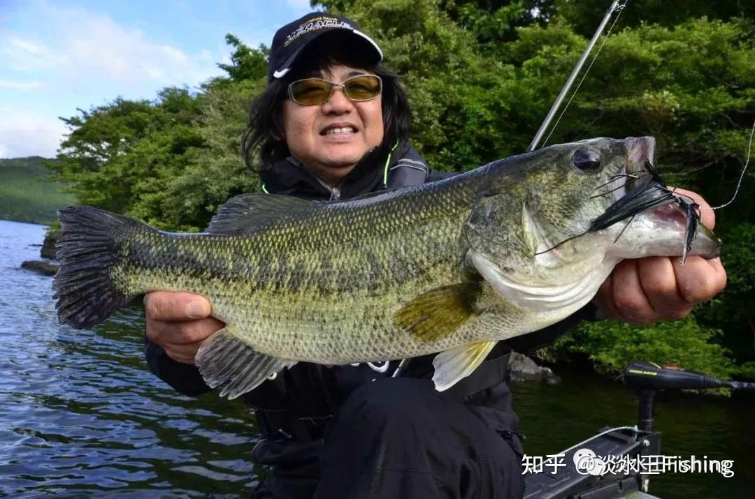 菊元俊文q&a!如何使用大型拟饵【路亚新手钓鲈鱼必读】