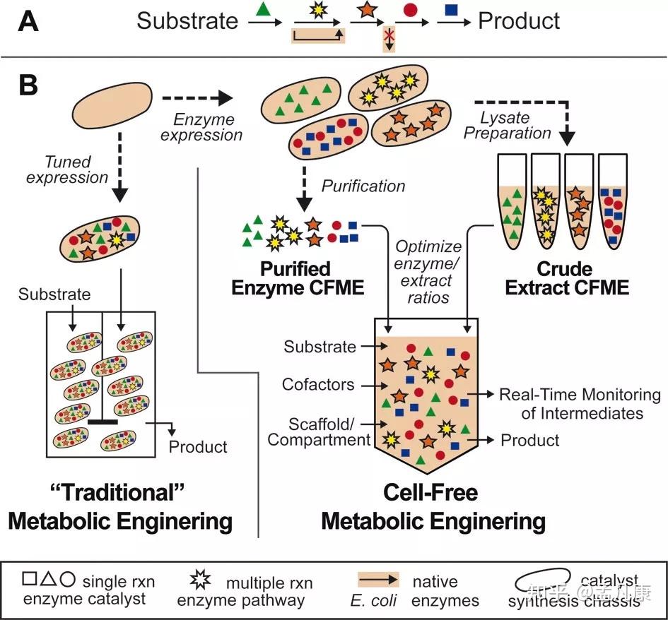 合成生物学周刊 21丨利用微生物清洁米开朗基罗的艺术品/最全人类基因