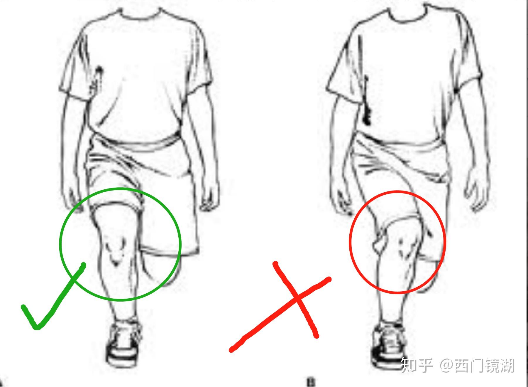 臀腿日訓練前的熱身與激活動作