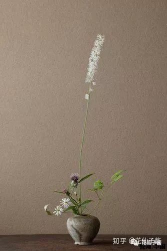 去日本旅游绝对不能错过的美景 知乎