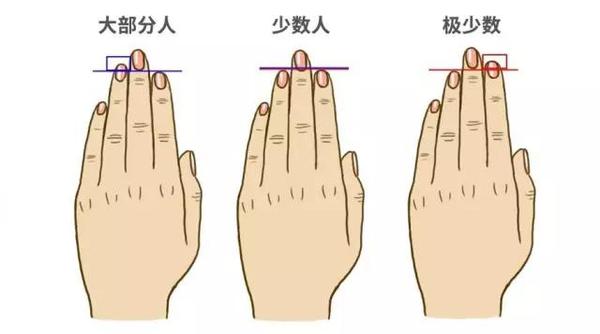 从手指长短看你的健康 真相原来是这样 知乎