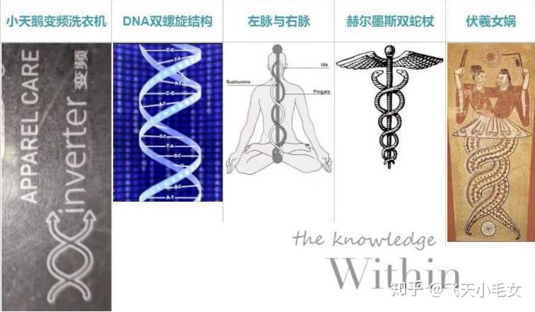 左脉、右脉与中脉 | 身体内部的能量互联网(Nadis) - 知乎