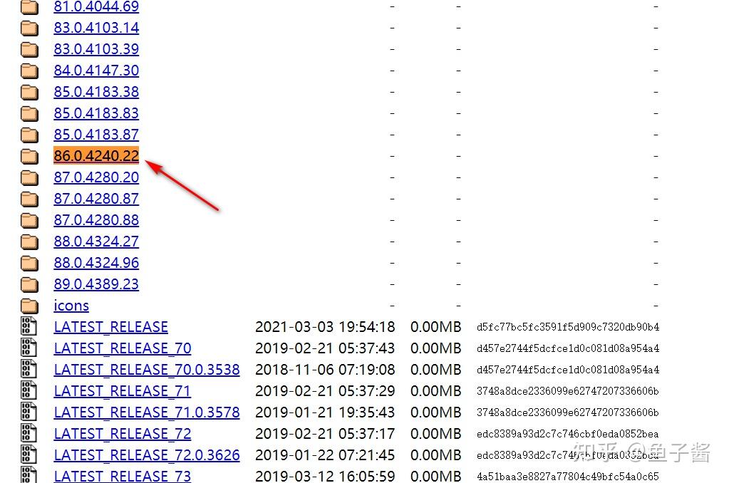 Selenium+Chrome浏览器环境搭建 知乎