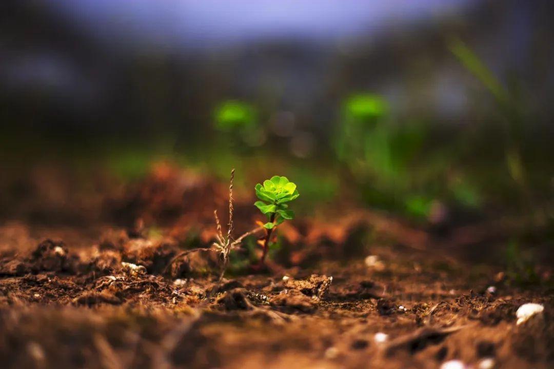 生命每一个当下的唯一意义而创造出来的一种幻觉是因为我们对于好坏对