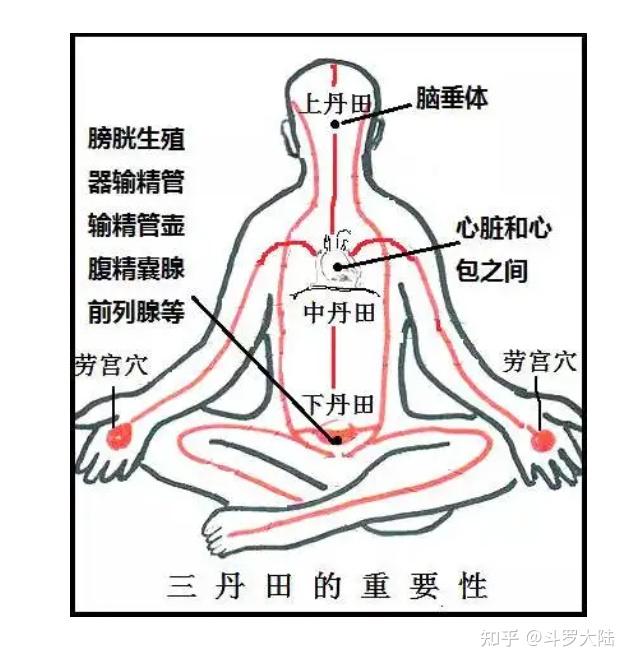 在道家修行中也非常重视三丹田学说,《东医宝鉴》引《仙经》之文,不仅
