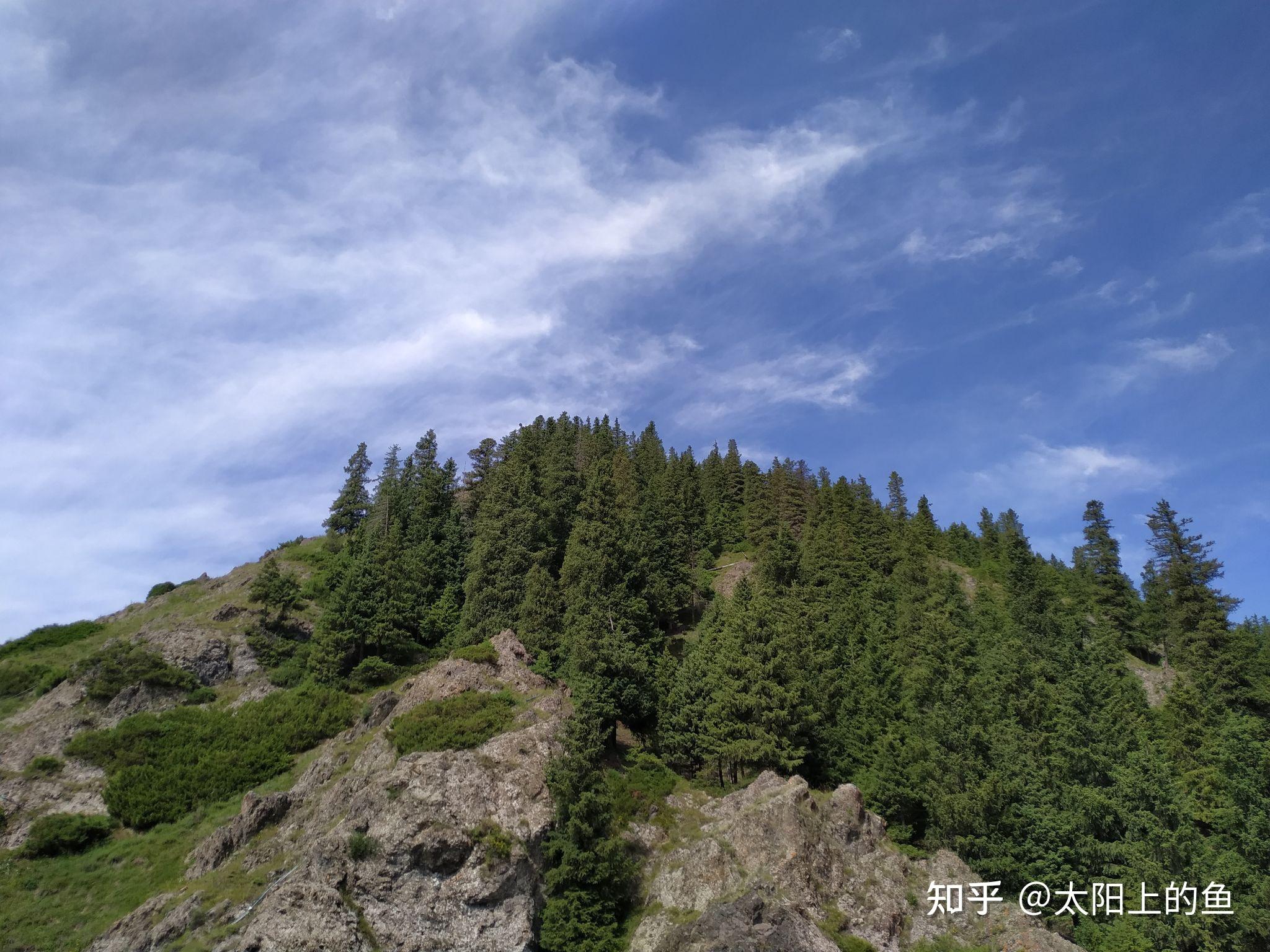 自然很美,可却无心看风景